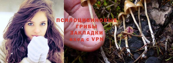 a pvp Надым