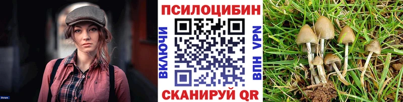 Галлюциногенные грибы MAGIC MUSHROOMS  Владивосток 