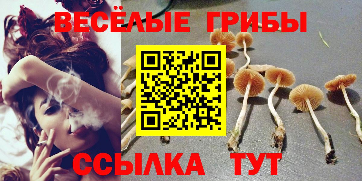 Владивосток  Галлюциногенные грибы мицелий  даркнет сайт  Вход с VPN  Псилоцибиновые грибы ЛСД 