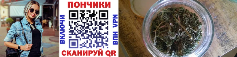 Бошки марихуана тримм  продажа наркотиков  Владивосток 